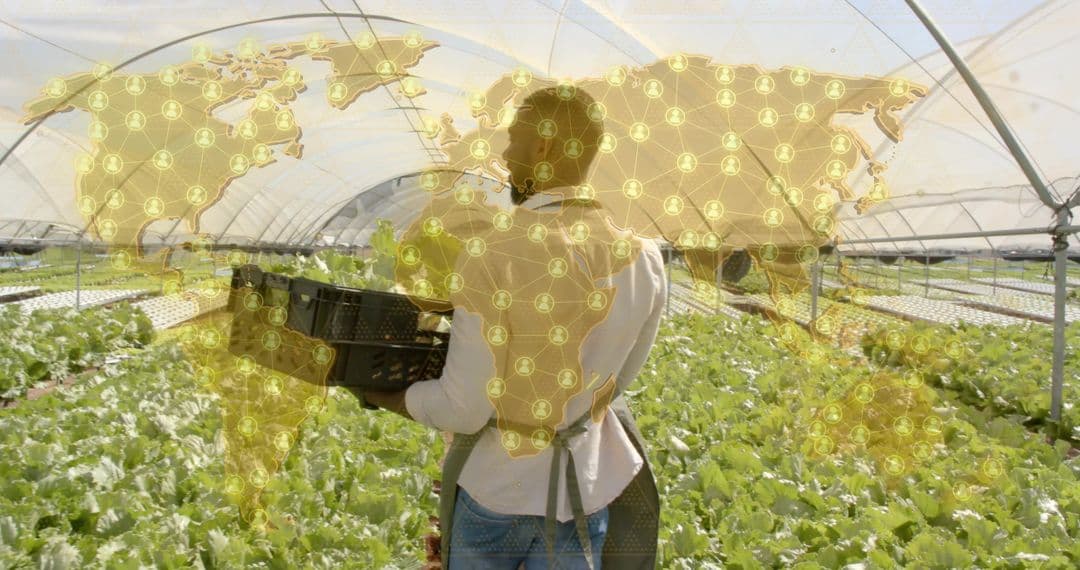 A worker carrying a crate of produce inside a greenhouse